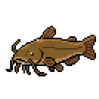 Fish 4